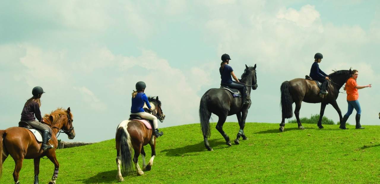 Englischkurse mit Sport